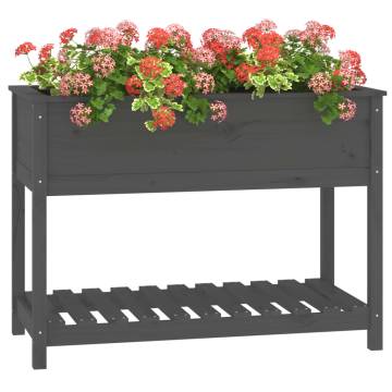 Grey Solid Wood Pine Planter & Shelf - 111.5x54x81 cm