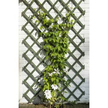 Nature Garden Trellis 50x150 cm - Adjustable Wooden Green