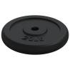 40 kg Cast Iron Weight Plate - Durable & Versatile Training