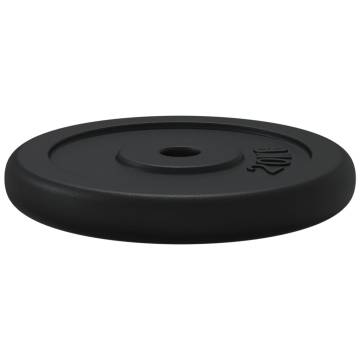 40 kg Cast Iron Weight Plate - Durable & Versatile Training