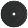 40 kg Cast Iron Weight Plate - Durable & Versatile Training