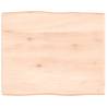 Untreated Solid Wood Live Edge Table Top - 60x50cm