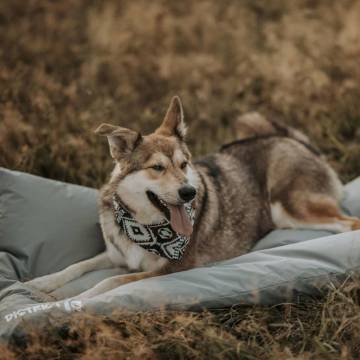 DISTRICT70 Crate Mat LODGE Light Grey S - Comfortable & Durable