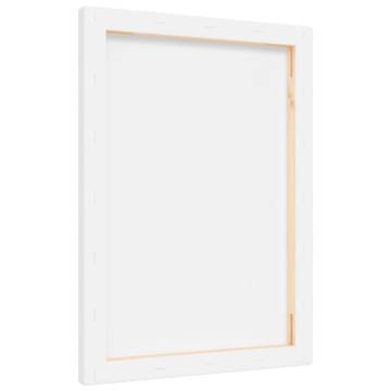 Stretched Canvases 12 pcs - White Fabric & Solid Pine Wood