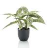 Emerald Artificial Calathea Dots 38 cm in Pot | Hipomarket