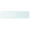 Stylish Glass Shelves - 2 Pcs Clear Panel 60x15 cm