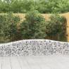 Arched Gabion Basket 400x50x40/60 cm Galvanised Iron Size 400 x 50 x 40/60 cm Quantity in Package 1 