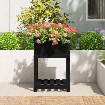 Planter with Shelf Black 54x54x81 cm - Solid Pine Wood