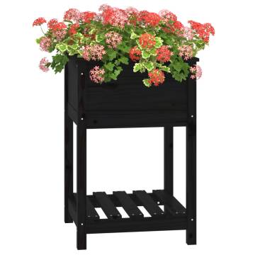 Planter with Shelf Black 54x54x81 cm - Solid Pine Wood