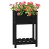 Black Pine Wood Planter with Shelf - 54x34.5x81 cm