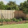 Wire Mesh Fence with Spike Anchors Anthracite 1x10 m