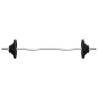 Barbell with Plates Set 30 kg - Cast Iron & Chrome Steel