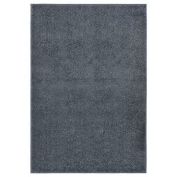 Elegant Anthracite Short Pile Rug 200x290 cm - HipoMarket