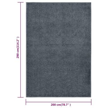 Elegant Anthracite Short Pile Rug 200x290 cm - HipoMarket