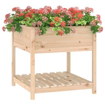 Solid Wood Pine Planter with Shelf - 82.5x82.5x81 cm