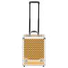 Stylish Gold Aluminium Make-up Trolley - 35x29x45 cm