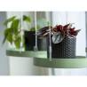 Esschert Design Hanging Plant Tray Round Green S Colour green Size s Shape round 