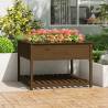 Planter with Shelf Honey Brown 111.5x111.5x81 cm Solid Wood Pine Colour honey brown Size 111.5 x 111.5 x 81 cm Quantity in Package 1 