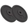 Weight Plates 2 pcs 2x10 kg Cast Iron Weight 2x 10 kg Number of 1 