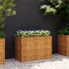 Garden Raised Bed 100x50x69 cm Corten Steel Size 100 x 50 x 69 cm Quantity in Package 1 