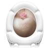 SCHÜTTE Duroplast Toilet Seat - Soft-Close & Romantic Design