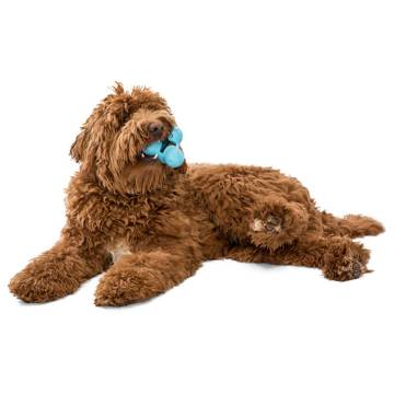 West Paw Zogoflex Tux Dog Toy - Aqua Blue Small | HipoMarket UK