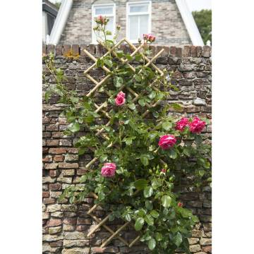 Nature Garden Trellis 100x200 cm Bamboo - Enhance Your Garden