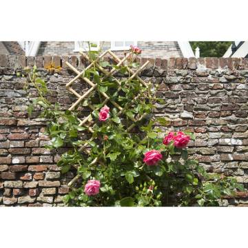 Nature Garden Trellis 100x200 cm Bamboo - Enhance Your Garden