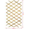 Nature Garden Trellis 100x200 cm Bamboo - Enhance Your Garden