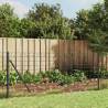 Wire Mesh Fence with Flange Anthracite - 1x25 m for Secure Barriers