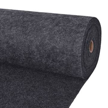 Exhibition Carpet Rib 1.2x20 m Anthracite - Premium Floor Covering