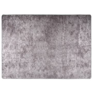 Washable Grey Rug 120x180 cm | Anti-Slip & Soft Velvet