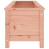 Garden Raised Bed 119.5x40x39 cm Solid Wood Douglas | HipoMarket