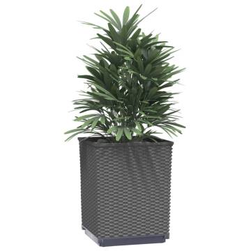 Black Planters Set of 4 - 30x30x37 cm Polypropylene