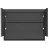 Stylish Bathroom Mirror Cabinet 80x15x60 cm - Anthracite