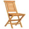 Folding Garden Chairs 6 pcs | Solid Teak Wood | Comfort & Style