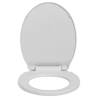 Soft-Close Toilet Seat Light Grey Oval | Durable & Easy to Clean