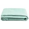 Tent Carpet 300x250 cm Green Colour green Size 300 x 250 cm Quantity in Package 1 