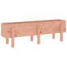 Garden Raised Bed 121x30x38 cm Solid Wood Douglas | HipoMarket