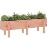 Garden Raised Bed 121x30x38 cm Solid Wood Douglas | HipoMarket