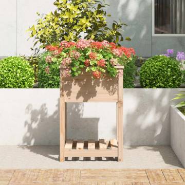 Planter with Shelf - Solid Pine Wood 54x54x81 cm | Hipo Market