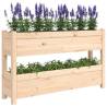 Solid Wood Pine Planter 112x25x66 cm for Gardens & Balconies