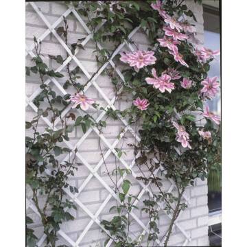 Nature Garden Trellis 50x150 cm PVC White - Hipo Market