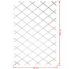 Nature Garden Trellis 50x150 cm PVC White - Hipo Market