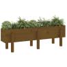 Garden Raised Bed Honey Brown 121x30x38 cm - Solid Wood Pine