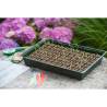 Nature Propagator Mini Kit - Perfect for Healthy Plant Growth