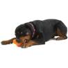 West Paw Orange Tux Dog Toy - Tough & Interactive | Hipomarket