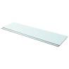 Clear Glass Shelves - 2 Pcs 110x30 cm for Modern Display