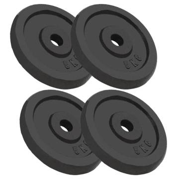 Weight Plates 4 pcs 4x5 kg Cast Iron | Hipomarket UK