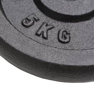 Weight Plates 4 pcs 4x5 kg Cast Iron | Hipomarket UK